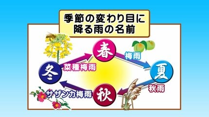 梅雨さま用ページ Amazon.co.jp: 壁面飾り 雨ちゃんのダンス 雨 梅雨 5月 6月 保育園