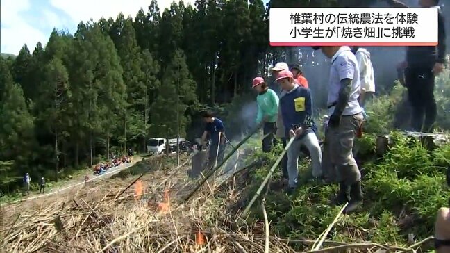 地元の伝統農法を学ぶ　椎葉村の小学生が「焼き畑」の体験学習|TBS NEWS DIG