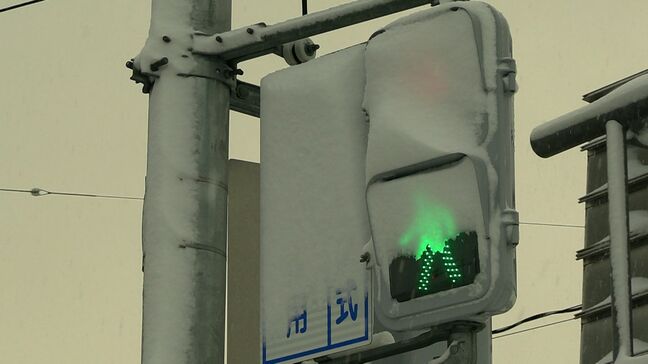 冬本番の冷え込み 岡山県北の山間部で積雪を観測 真庭市上長田と新見市千屋で7cm 津山で1cm|TBS NEWS DIG