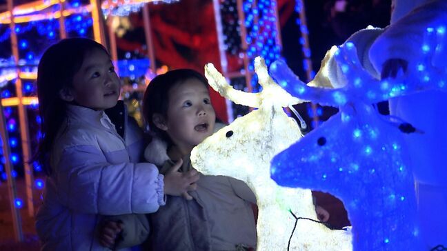 瀬戸内市の岡山村田製作所に5万球のクリスマスイルミネーション　25日まで地域に開放【岡山】|TBS NEWS DIG