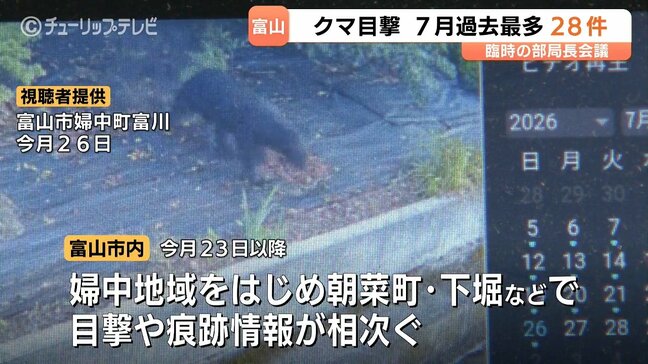 クマ目撃が7月だけで28件 7月として合併後過去最多 31日まで1日2回のパトロール実施、檻も設置へ 富山|TBS NEWS DIG