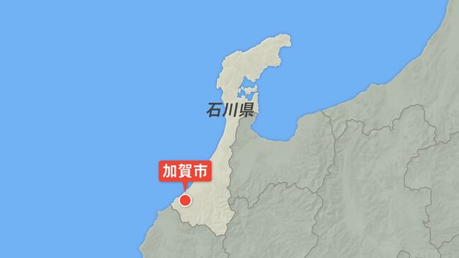 クマが軽乗用車と衝突し死ぬ 運転手の女性にけがなし 石川・加賀市の国道８号|TBS NEWS DIG