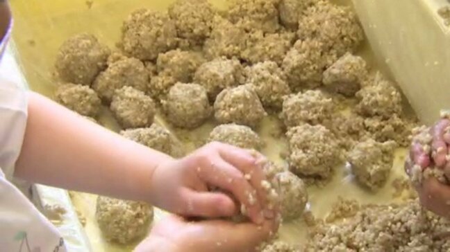 「おいしくなあれ」 はだか麦の産地で地元園児が麦みそづくりに挑戦 力いっぱい握った味噌玉に大きな声で“おまじない”|TBS NEWS DIG