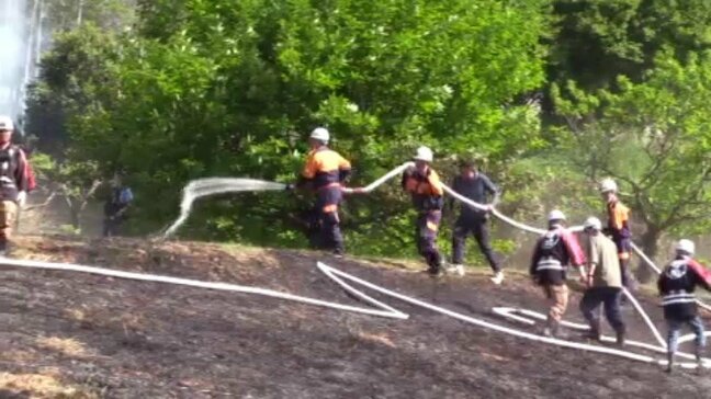 また山林火災が…この近くでは今年3月に大規模な山林火災が発生　愛媛・今治市|TBS NEWS DIG