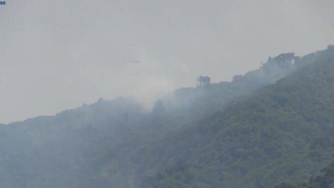 大船渡市の山林火災は発生から10日目の4日午後3時に鎮火　約9ヘクタールを焼失　けが人なし　岩手|TBS NEWS DIG