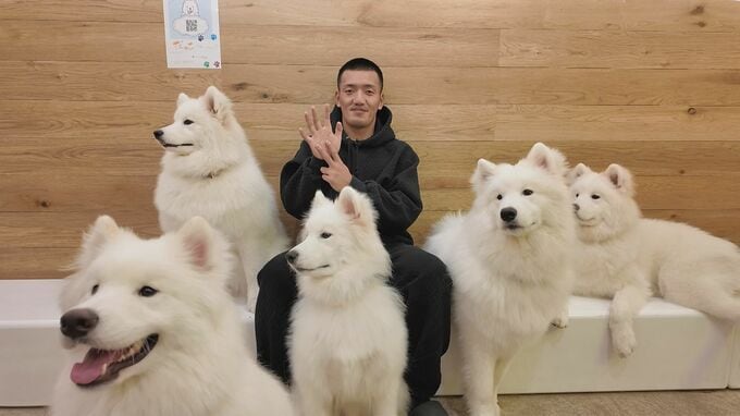 【カープ】【矢野さんぽ】2026年の元旦でも矢野が広島の街をめぐる！ここでしか見られない姿が盛りだくさん⁉　|　RCC NEWS | 広島ニュース | RCC中国放送