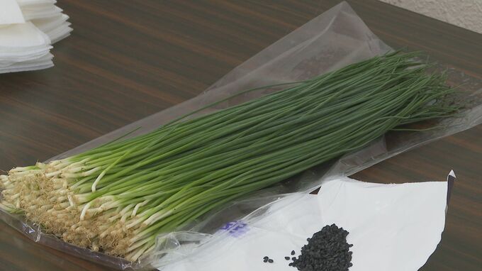 ふぐ刺しの薬味“安岡ねぎ”地元中学生が栽培体験「ネギが嫌い…でも自分が育てたネギなら食べられそう」　山口・下関|TBS NEWS DIG