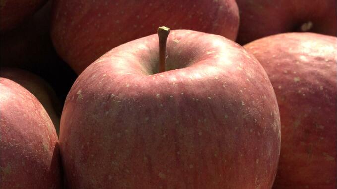 収穫したリンゴ１２００個が盗難被害　リンゴ畑にあった木箱約２０個が一夜にして消える　青森・五所川原市　|　青森のニュース│ATV NEWS│青森テレビ