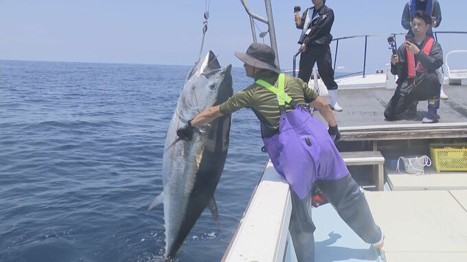 クロマグロ漁に密着！胃袋から出てきたのは…え？イカ！豊漁の実態探る取材で記者驚き　山口|TBS NEWS DIG