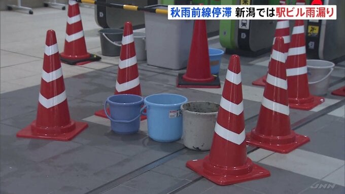 新潟で大雨　新潟駅の駅ビルが雨漏り、書店の本に大量の雨が…　突風で倒木に民家が押しつぶされる被害も|TBS NEWS DIG