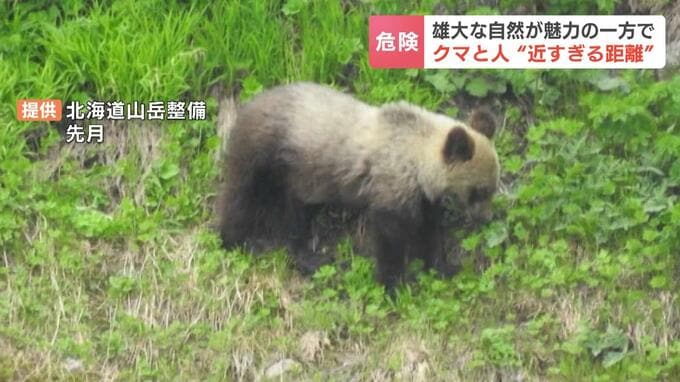 年間10万人が訪れる『大雪山国立公園』で危惧される“登山者とクマ”の距離感　接近撮影や荷物を置いてのピストン登山など…クマを人慣れさせ、引き寄せる危険な行動とは|TBS NEWS DIG