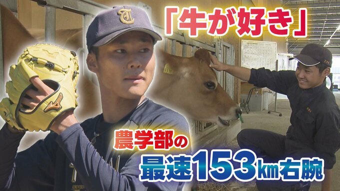 【ロッテ ドラフト5位指名】廣池康志郎（東海大九州）は “牛が好きすぎる”異色の投手 スカウト評価「九州学生ナンバー1投手」　|　熊本のニュース｜RKK NEWS｜RKK熊本放送