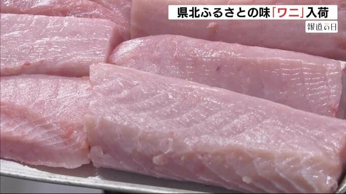 正月料理に欠かせない“ワニ”入荷　「ふるさとの味を楽しんで」　広島県三次市|TBS NEWS DIG