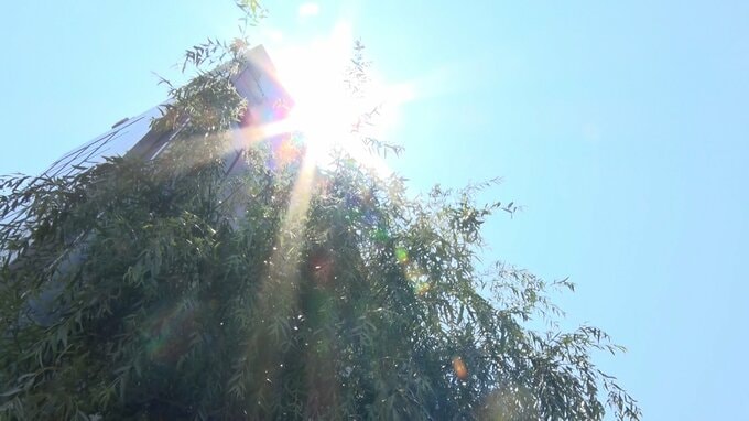 四万十市江川崎で38.6℃観測（25日午後0時半時点）高知県内週末も厳しい暑さに　熱中症に警戒を　|　高知のニュース・天気｜KUTV NEWS | KUTVテレビ高知