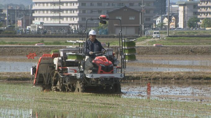 石川県産のブランド米「ひゃくまん穀」ＧＷに田植え作業がピーク見込む|TBS NEWS DIG