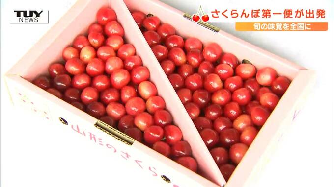 今年で43年目！ 初夏の味覚を全国へ　”さくらんぼゆうパック”の第一便が山形市から出発　およそ200箱のさくらんぼが積み込まれる（山形・山形市）　|　山形のニュース│TUYテレビユー山形