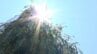 四万十市江川崎で38.6℃観測（25日午後0時半時点）高知県内週末も厳しい暑さに　熱中症に警戒を　|　高知のニュース・天気｜KUTV NEWS | KUTVテレビ高知