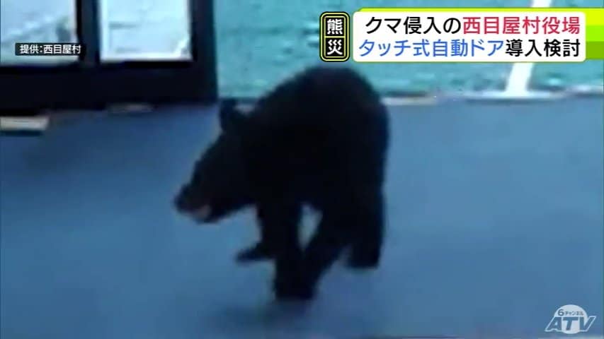 役場にクマ侵入の青森県西目屋村 正面玄関の「自動ドア」の開け閉めを