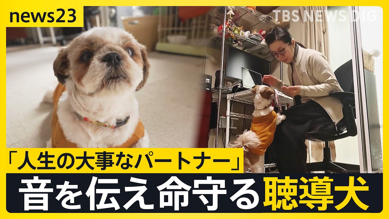 全国にわずか50頭 音を伝えて命を守る“聴導犬” 聞こえない世界を支える