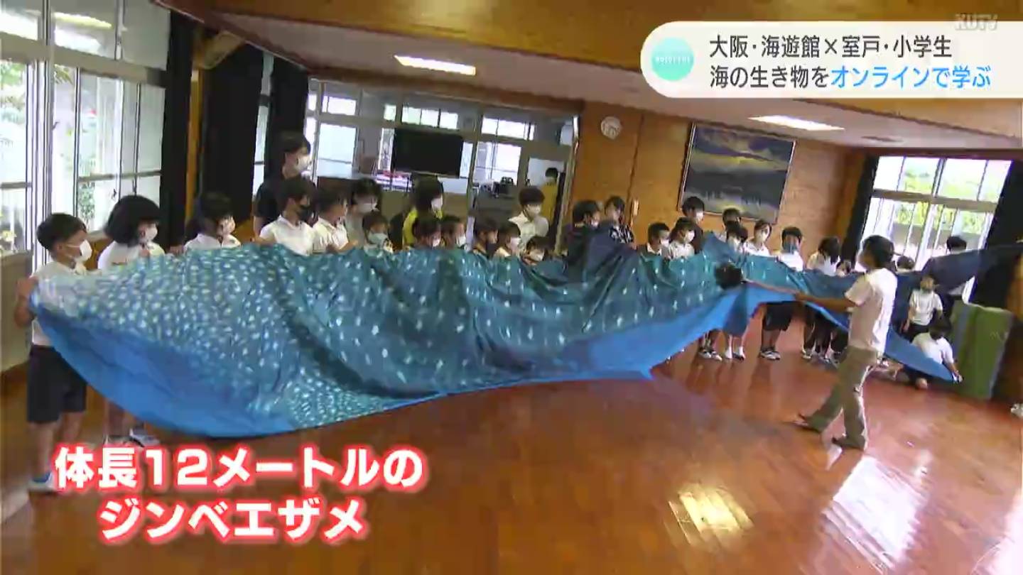 大阪 海遊館 室戸 小学生 海の生き物をオンラインで学ぶ Kutvニュース Kutvテレビ高知 大阪 海遊館 室戸 小学生 海の生き物をオンラインで学ぶ Kutvニュース Kutvテレビ高知