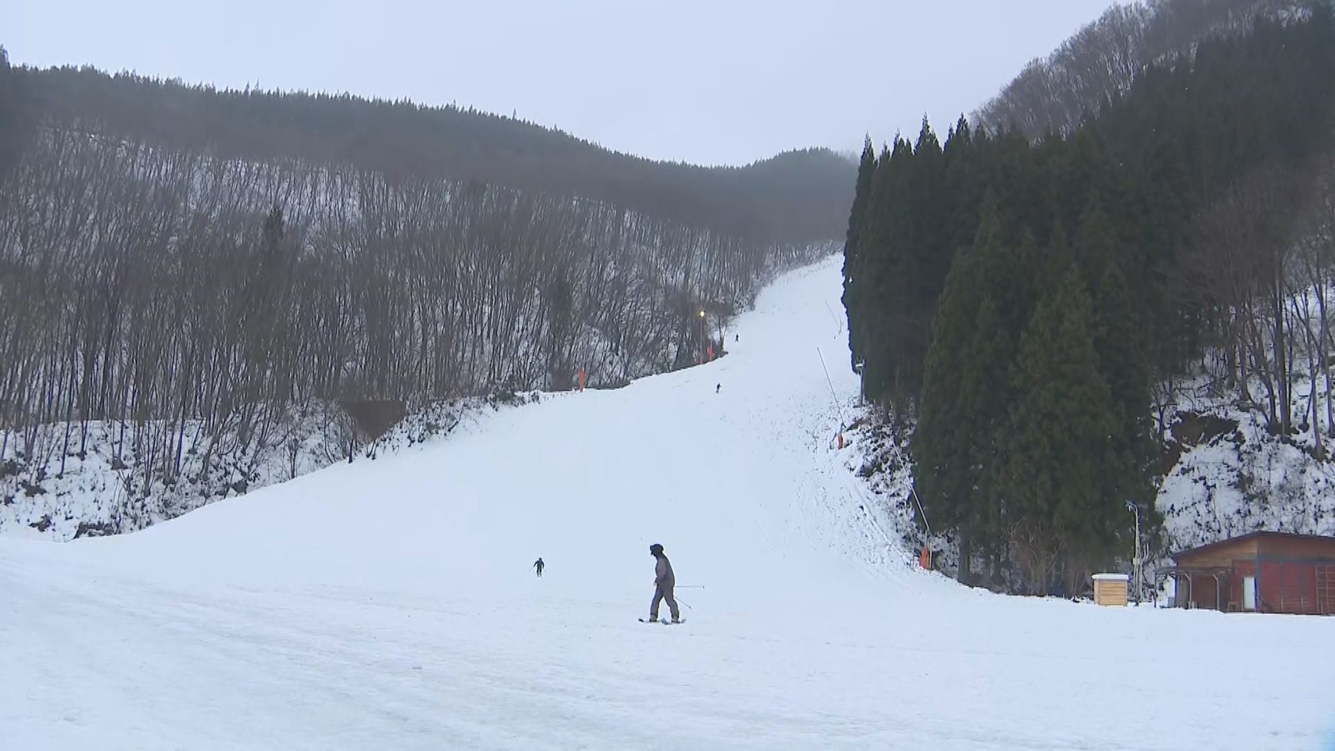 スキー場の営業中の出没は聞いたことがない」白馬村のスキー場でクマの