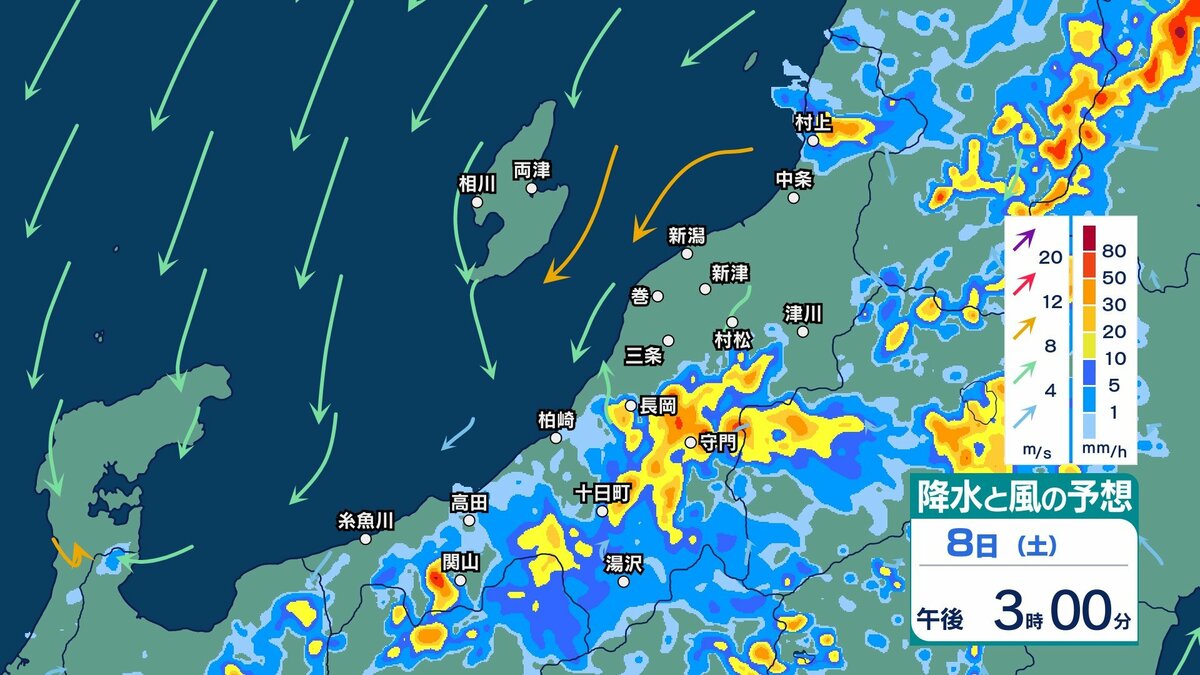 サムネイル_新潟県内は雷を伴い“滝のように降る”非常に激しい雨のおそれ　警報級の大雨となる可能性も【30分ごとの雨のシミュレーション・8日午後1時更新】