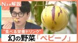 「日本では幻の果実」メロン？洋梨？野菜なのに甘い“食べる栄養ドリンク”と注目の新野菜「ペピーノ」【Nスタ解説】|TBS NEWS DIG