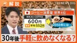 【コーヒー2050年問題】気候変動でコーヒー危機、栽培地域が半減し価格は1000円以上に?【Nスタ解説】|TBS NEWS DIG