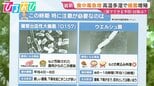 「これって食中毒?」悩んだ時の判断ポイントは…尿が出ない・口がカラカラ 街のギモンに医師が回答【ひるおび】|TBS NEWS DIG