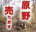 地価がバブると湧いてくる「原野商法」詐欺師たちの甘い罠(1988年の例)【TBSアーカイブ秘録】|TBS NEWS DIG