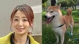 【眞鍋かをり】 愛犬「うめ」との別れを報告 「出会った日から私の妹としてたくさんの思い出を作ってくれた」|TBS NEWS DIG