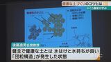 実は肥料のあげすぎもNG スイカの名産地・今帰仁村 品質向上へ『健康な土』づくりを学ぶ|TBS NEWS DIG