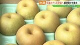 “シャリ感”と甘み、楽しんで…秋の味覚・ナシの「ゆうパック」出発式　福島・郡山市　|　福島のニュース│TUF