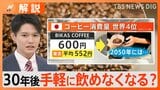 【コーヒー2050年問題】気候変動でコーヒー危機、栽培地域が半減し価格は1000円以上に?【Nスタ解説】|TBS NEWS DIG