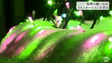 8月の大雨被災地に復興のイルミネーション 川氾濫の爪痕で規模縮小(青森・鰺ヶ沢町) | 青森のニュース│ATV NEWS│青森テレビ
