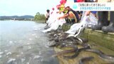 「元気に戻ってきてほしい」小学生が四万十川でウナギ放流|TBS NEWS DIG
