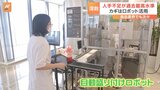 社食に「調理ロボット」登場 深刻な“人手不足”に食品メーカーが対策|TBS NEWS DIG