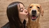 【新木優子】北海道のドッグカフェで犬と触れ合う様子を公開「大きな可愛いわんこ達にもみくちゃにされる幸せ」|TBS NEWS DIG