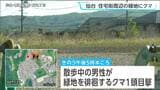 天文台近くでクマ1頭目撃 その5時間前には近くの住宅街でも 同じ個体か　仙台・青葉区　|　宮城のニュース│tbc NEWS│tbc東北放送