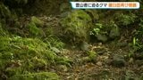 【クマ出没】登山者の男性に向かってくるクマ、撃退スプレー噴射で逃亡　去年26歳男性が襲われ死亡した羅臼岳　すべての登山道を緊急閉鎖　北海道知床半島|TBS NEWS DIG