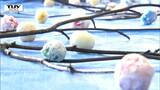 「健康でいられますように」 児童が小正月の伝統行事 "だんごさし" に挑戦! 完成品は1人暮らしの地域の高齢者へ(山形・東根市) | 山形のニュース│TUYテレビユー山形
