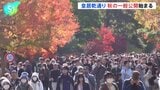 皇居・乾通りで秋の一般公開始まる　色鮮やかなモミジやカエデ　初日は約2万人訪れる　11月29日～12月7日|TBS NEWS DIG
