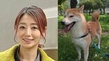 【眞鍋かをり】　愛犬「うめ」との別れを報告　「出会った日から私の妹としてたくさんの思い出を作ってくれた」|TBS NEWS DIG