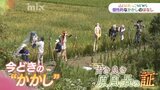 田んぼのアイドルは地元の人気者！今どきのかかしのはなし|TBS NEWS DIG