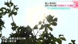 「こっちのほうが断然暑い」厳しい暑さ続く 高知県四万十市江川崎 2025年最高37.3℃観測 | 高知のニュース・天気|KUTV NEWS | KUTVテレビ高知