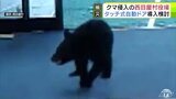 役場にクマ侵入の青森県西目屋村　正面玄関の「自動ドア」の開け閉めを手動に切り替え　今後タッチ式を導入検討など対策強化　特別養護老人ホームでは独自の対策も【熊災】|TBS NEWS DIG