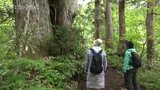 巨大な〇〇!千年の年月を超えた全国屈指の宝 富山にあった “真の姿” | 富山のニュース|天気・防災|チューリップテレビ