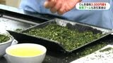 鹿児島県産「てん茶」二番茶取引会　平均価格は前年比3000円以上高騰も手放しで喜べないワケとは…|TBS NEWS DIG