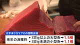 太平洋クロマグロ　大型魚の漁獲枠1.5倍で正式合意|TBS NEWS DIG