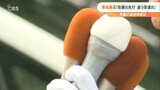 【大分県知事選挙】OBS世論調査 序盤の情勢「佐藤樹一郎氏先行 追う安達澄氏」 | 大分のニュース|OBS NEWS|大分放送